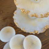 enthymion-resin-dipli-orneviera-apo-ugro-gyali-01